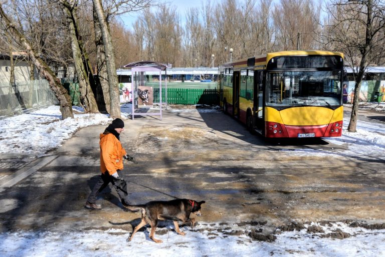 Schronisko dla zwierząt się rozbuduje