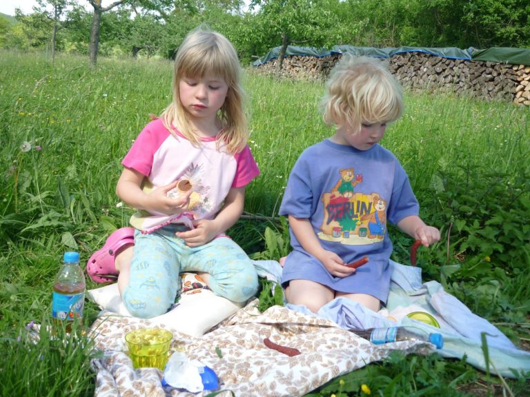 Piknik sąsiedzki na Żoliborzu Artystycznym „Dobro powraca”