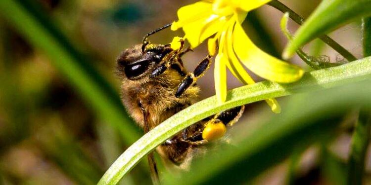 Miodowa Manufaktura fot. Krzysztof Kozerski